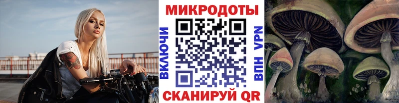 мориарти формула  Судак  Галлюциногенные грибы мухоморы  ОМГ ОМГ онион 
